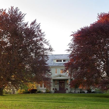 Yale Manor B&B & Yurt Glamping 外观 照片