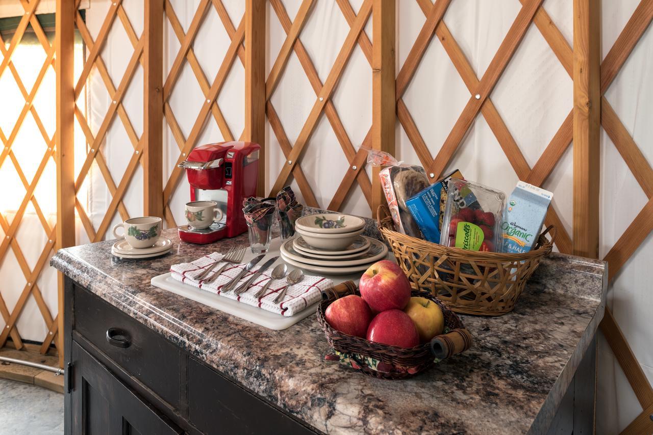 Yale Manor B&B & Yurt Glamping 外观 照片