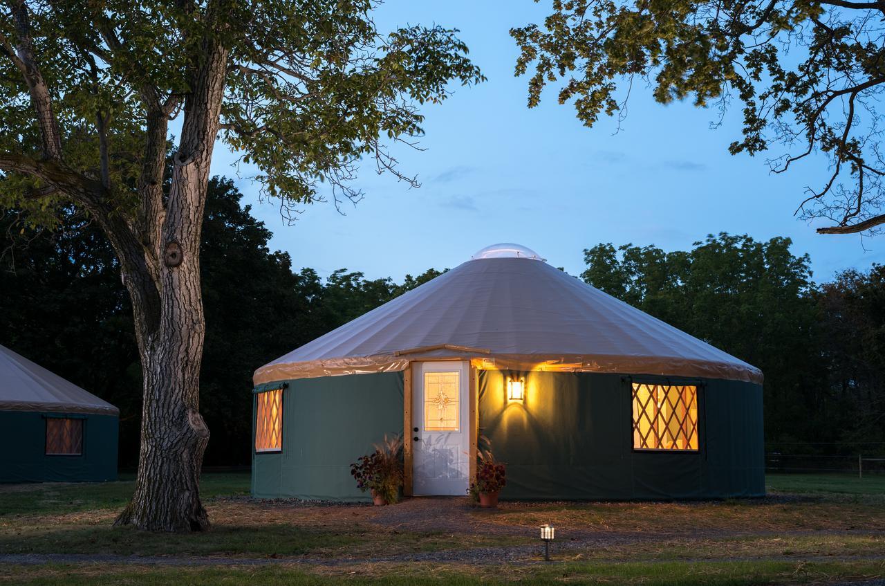 Yale Manor B&B & Yurt Glamping 外观 照片